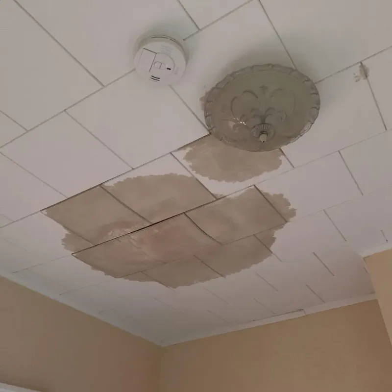 Ceiling Water Damage Repair in Taylor, NE