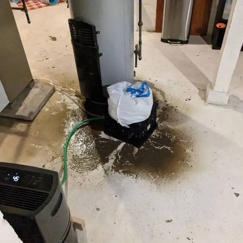 Sewage Backup Cleanup Service in Taylor, NE